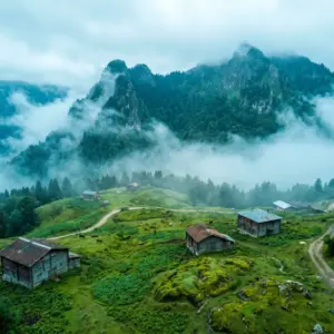 Karadeniz yaylalarında yeşil doğa