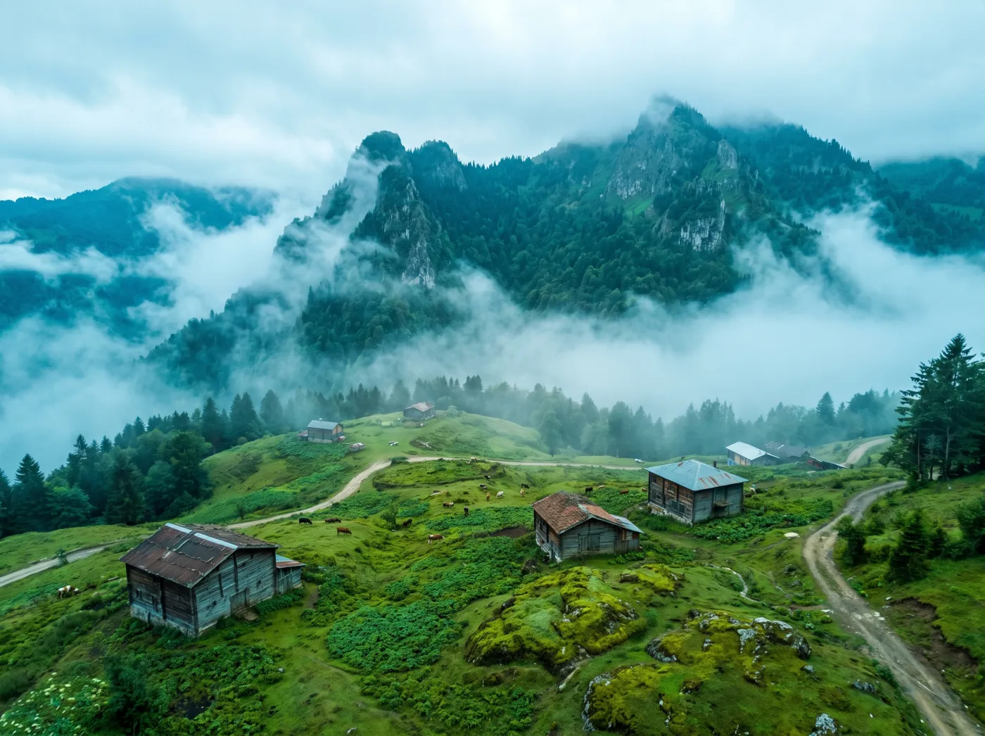 Karadeniz yaylalarında yeşil doğa